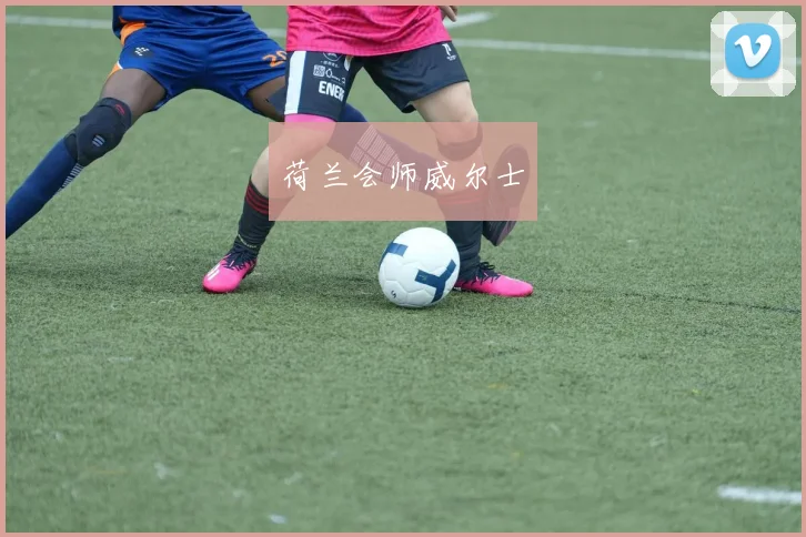 荷兰会师威尔士