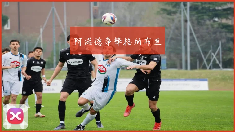 阿诺德争锋格纳布里