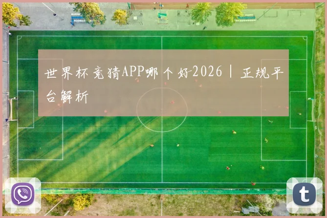 世界杯竞猜APP哪个好2026｜正规平台解析