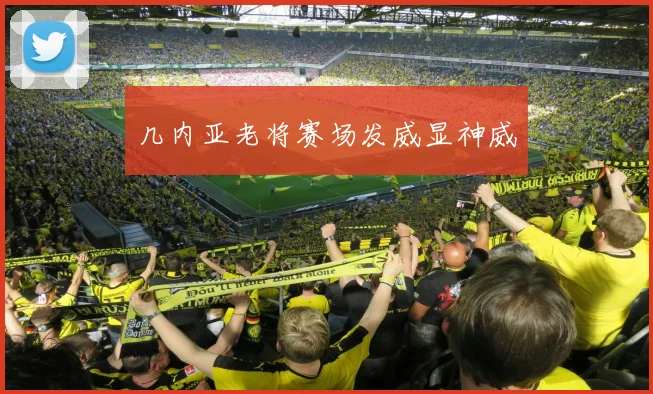 几内亚老将赛场发威显神威
