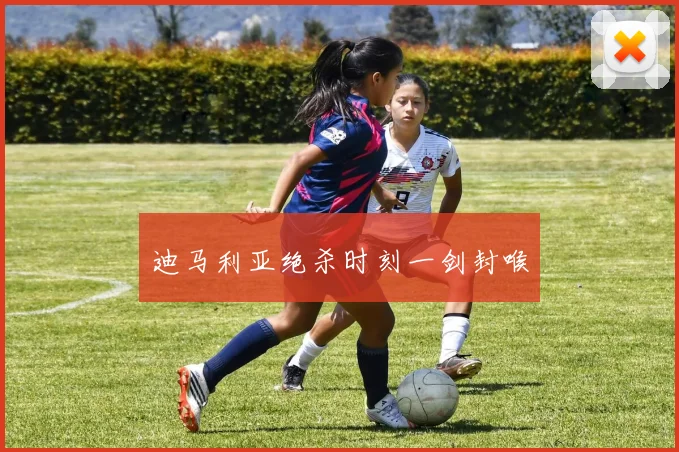 迪马利亚绝杀时刻一剑封喉
