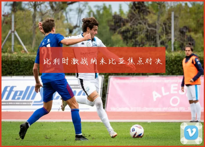 比利时激战纳米比亚焦点对决