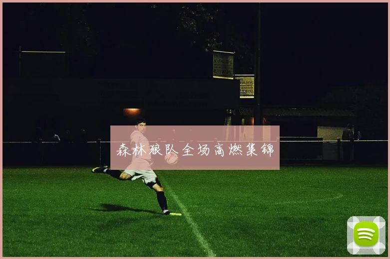 森林狼队全场高燃集锦
