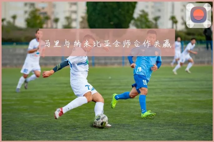 马里与纳米比亚会师合作共赢