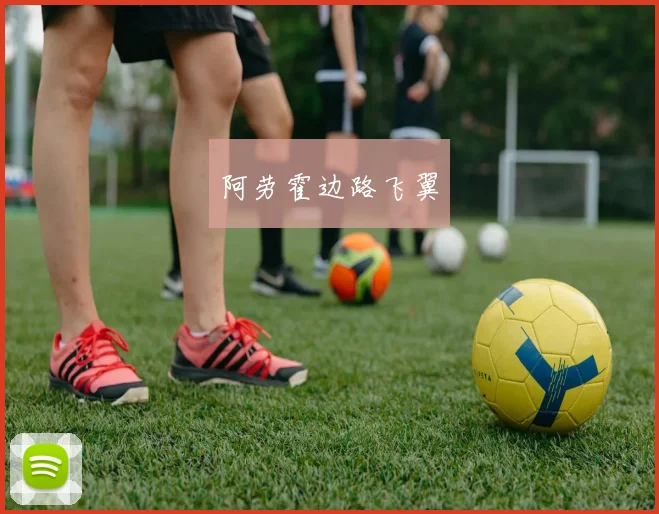 阿劳霍边路飞翼