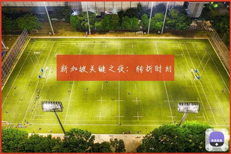 新加坡关键之夜：转折时刻