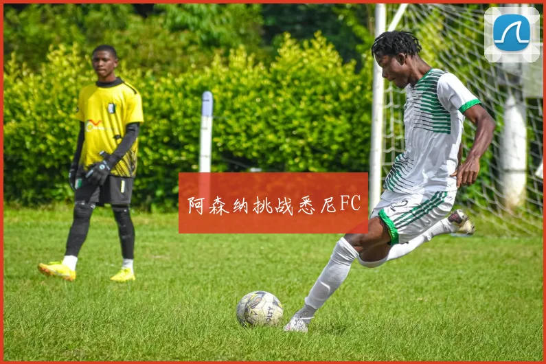 阿森纳挑战悉尼FC