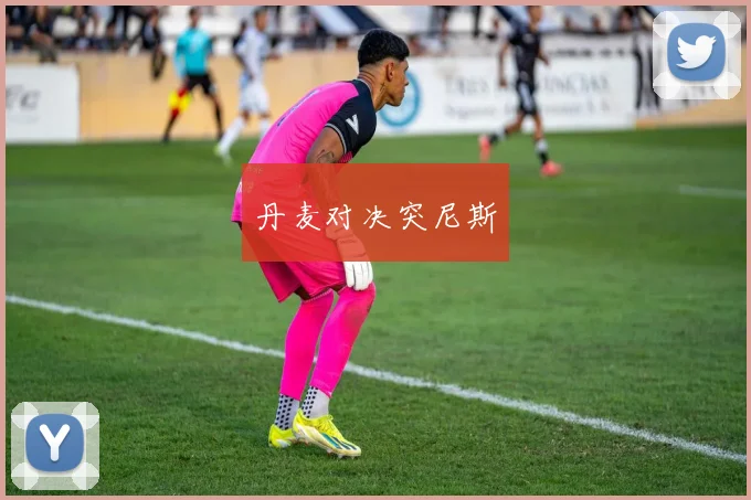 丹麦对决突尼斯