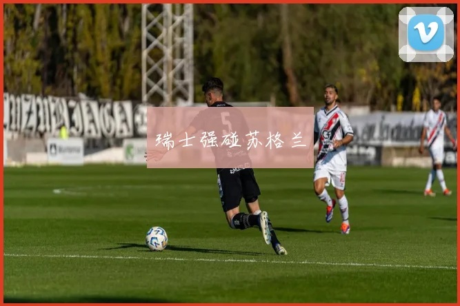 瑞士强碰苏格兰
