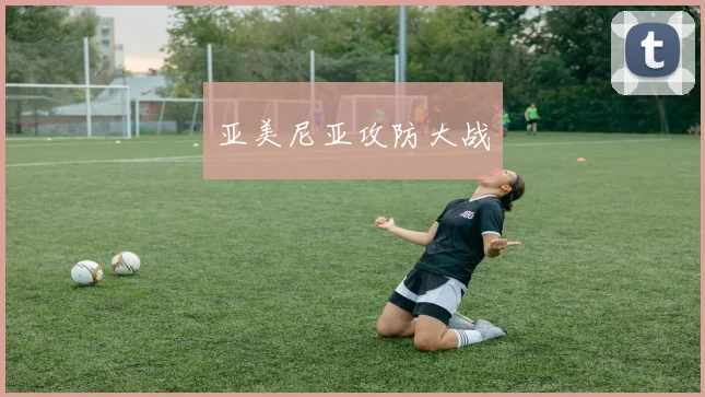 亚美尼亚攻防大战
