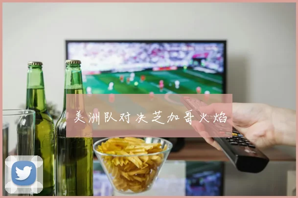 美洲队对决芝加哥火焰