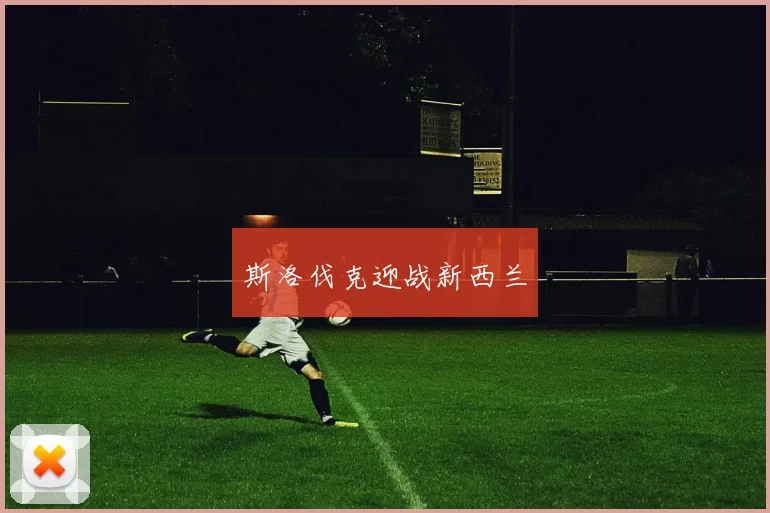 斯洛伐克迎战新西兰