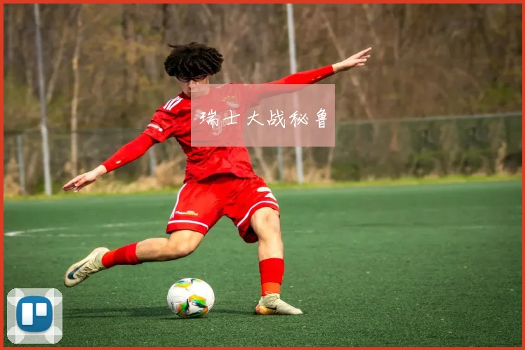 瑞士大战秘鲁