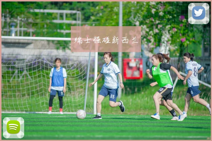 瑞士强碰新西兰