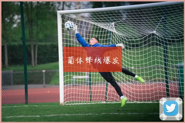 葡体锋线爆发