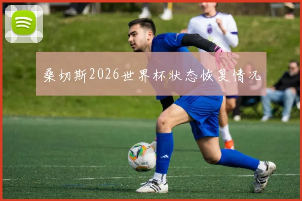 桑切斯2026世界杯状态恢复情况