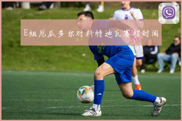 E组厄瓜多尔对科特迪瓦赛程时间