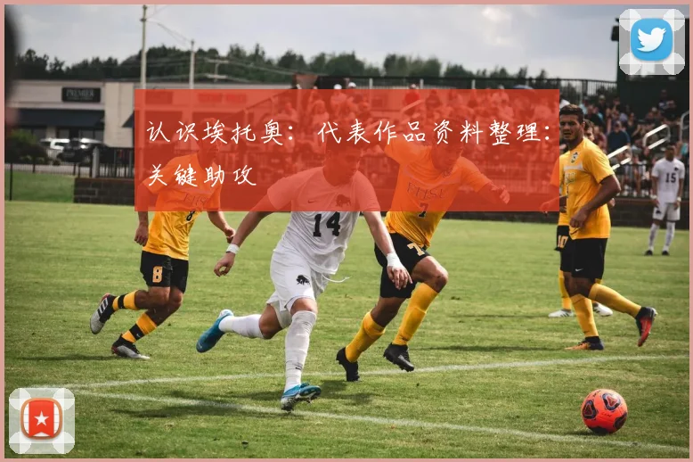 认识埃托奥：代表作品资料整理：关键助攻