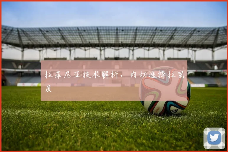 拉菲尼亚技术解析，内切选择拉宽度