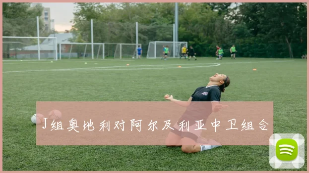 J组奥地利对阿尔及利亚中卫组合